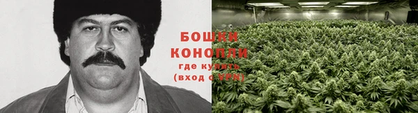 прущие крисы Нягань