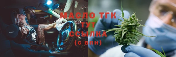 сатива Новодвинск