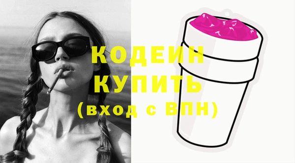 сатива Новодвинск