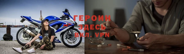 сатива Новодвинск