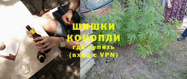 сатива Новодвинск