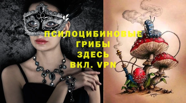сатива Новодвинск
