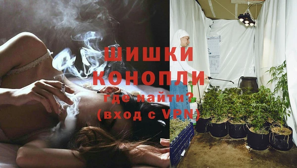 дурь Новозыбков