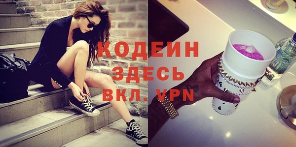 сатива Новодвинск